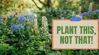 Plant This Not That [upl. by Drhacir]