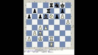 Warmerdam Max vs Bekedam Tyro  Netherlands Chess U15 2013 Sneek [upl. by Artemisa]