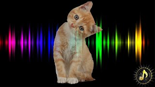 Cat Meow Sound Effect  Attract Cats Sounds Cats Love [upl. by Leclair]