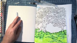 WIP USING CHROMATEK Watercolor Brush Pens in Woodland Watercolor PART 2 [upl. by Sanders309]