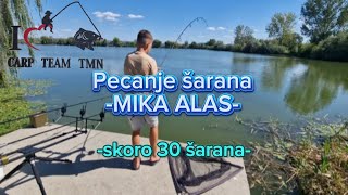 Pecanje šarana Mika Alas Borča 06082024 [upl. by Chute]