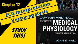 Guyton and Hall Medical Physiology Chapter 12 REVIEW ECG interpretation and vectors  Study This [upl. by Gnilhsa]