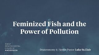 Feminized Fish and the Power of Pollution  Senior Pastor Luke StClair [upl. by Greenfield]