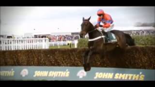 Sprinter Sacre Tribute  Dare To Be Different [upl. by Skipper]