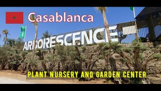 Morocco Arborescence BouskouraCasablanca  Plant Nurseries and Garden Centers [upl. by Aisinut]