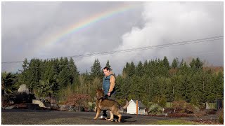 Obedience Under the Rainbow  Kraftwerk K9 German Shepherds [upl. by Ivzt]