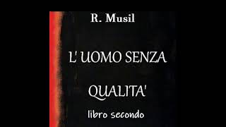 16  L UOMO SENZA QUALITA di R Musil parte seconda cap 16  Incontro con il diplomatico [upl. by Elahcim]