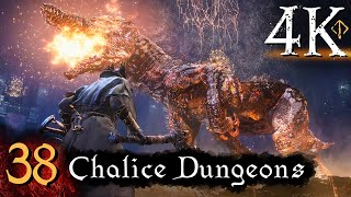 Bloodborne  First Time 4K 100 Platinum Walkthrough Part 38  Chalice Dungeons [upl. by Melton302]