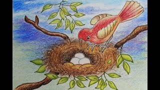 How to draw Birds nest  Drawing of birds nest with eggs and bird  Easy bird nest drawing [upl. by Ragan330]