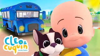 ¡Cuida de tu mascota 🐶 Música infantil para bebés con Cleo y Cuquín [upl. by Elam]