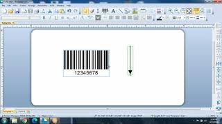 Using the Right Barcode amp the Right Size BarTender Barcoding Software Demo [upl. by Yduj]