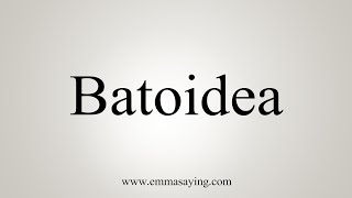 How To Say Batoidea [upl. by Ahtikal]