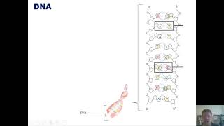 Chapter 24 – Organic amp Biological Molecules Part 8 of 9 [upl. by Adnaram]