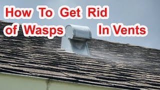 How To Get Rid of Wasps in Vent [upl. by Suiram140]