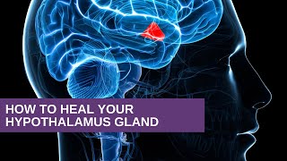 How to Heal Your Hypothalamus Gland [upl. by Follansbee]