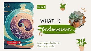 What is Endosperm Sexual reproduction in flowering plants LearnQuest [upl. by Senalda]