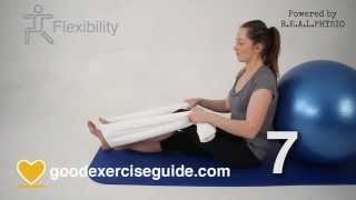 10 Best Exercises for Knee Arthritis Full Physio Sequence [upl. by Valentijn]