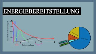 Energiebereitstellung im Muskel  Verlauf mit Erklärung  Grafiken  Knowhow fürs Training [upl. by Yanaj988]