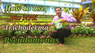 Use Bio NPK  Trichoderma and Pseudomonas and See the Results [upl. by Berry688]