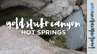 Gold Strike Canyon Hot Springs in Las Vegas  Local Adventurer [upl. by Gerik]