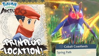 Where To Find Prinplup In Pokemon Legends Arceus Spring Path Prinplup Location Guide [upl. by Vadnee]