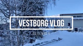 Vestborg vlog Desember 2022 [upl. by Irtimid]