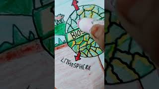 lithosphere biosphere hydrosphere and atmosphere project [upl. by Aohsoj]