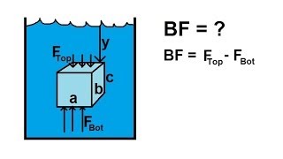 The Hydrologic and Carbon Cycles Always Recycle  Crash Course Ecology 8 [upl. by Nojel]