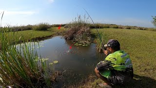 Descobri o segredo desse lugar Pesca caipira [upl. by Jamesy]