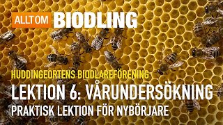 Vårundersökning  Praktisk lektion  Nybörjarkurs i Biodling [upl. by Ratcliffe]