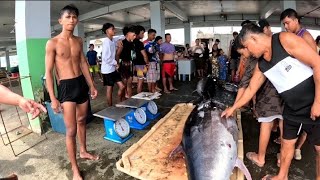 Wow Siya pala ang Nakahuli ng Pinakamalaking Tuna na Hindi kinaya Ng Timbangan viral trending [upl. by Perr]