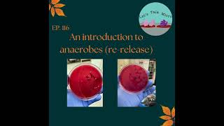 116 An introduction to anaerobes rerelease [upl. by Assirt]