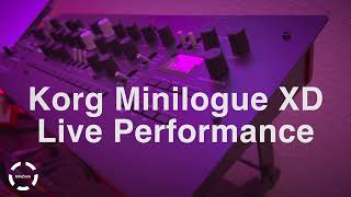 Korg Minilogue XD Live Performance 26 [upl. by Eyaf]