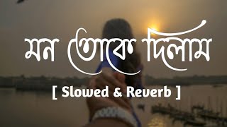 Mon toke dilam  মন তোকে দিলাম  Slowed amp Reverb   Zubeen Garg  Gallery Of Music [upl. by Lemaceon]