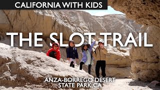 Fun Hiking The Slot Trail Anza Borrego With Kids [upl. by Paige]