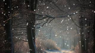 Stopping by Woods on a Snowy Evening by Robert Frost read by Gilberto Graywolf [upl. by Kreiker]