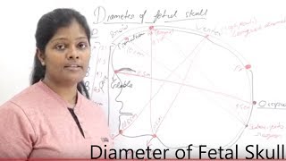 Diameter of Fetal Skull Lecture in Hindi  Types of Diameter  Diameter Measurement of Fetal skull [upl. by Randee510]