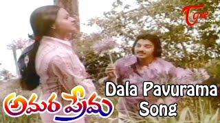 Amara Prema Telugu Movie Songs  Dala Pavurama  Kamal Hassan  Jareena [upl. by Aryek]