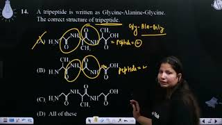 A tripeptide is written as GlycineAlanineGlycine The correct structure of tripeptide [upl. by Adnov]