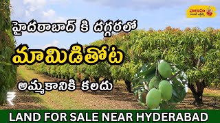 LAND FOR SALE NEAR HYDERABAD LANDFORSALE February 4 2024 [upl. by Aradnahc]