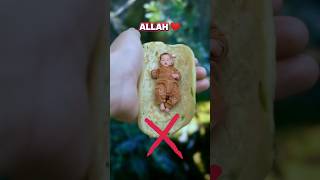 Allahumdulliah Muslims ❤️  Islamic Video 🤲❤️  shorts ytshorts shortsfeed Allah muslim [upl. by Lekkim]