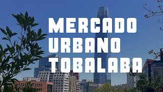 Recorrido por el mercado urbano tobalaba Santiago CL [upl. by Zeidman]