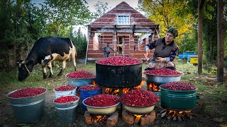 Preserving Flavor Making Delicious Dogwood Paste [upl. by Crane]