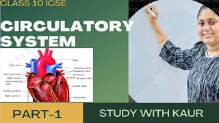 Circulatory System class 10 ICSE Part 1STUDY WITH KAUR HAND WRITTEN BEST NOTES [upl. by Balfore713]