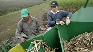 Sembradora de Caña de Azucar Neozaf 6000  Puesta a Punto Sugarcane Planter Tuningavi [upl. by Crescen]