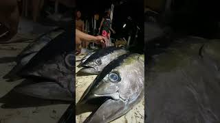 Hindi talaga lahat ng oras ng pagpalaot mo makakahuli ka ng marami trending yellowfintuna fishing [upl. by Merna]