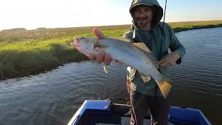 Lake Pontchartrain Specks [upl. by Minier582]