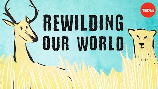 From the top of the food chain down Rewilding our world  George Monbiot [upl. by Hernandez]