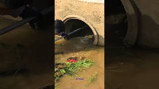 Super Clogged Culvert Drain by Mr Doma [upl. by Rattray483]