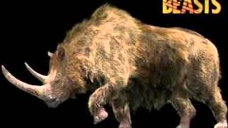 Carnivores Ice Age Animals [upl. by Sullivan502]